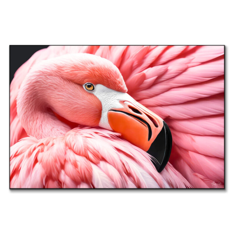 Between the Pink Wings Vibrant Wall Art by Philippe HUGONNARD