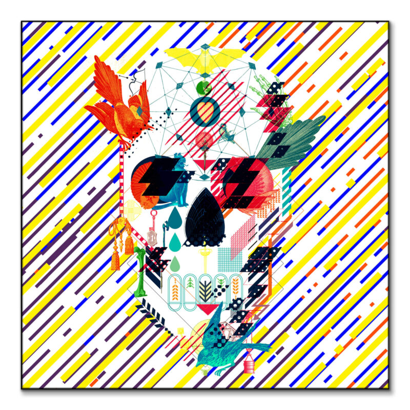 Abstract Skull Wall Art by Ali Gulec