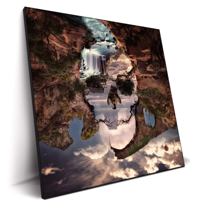 Canyon Skull Wall Decor by Ali Gulec