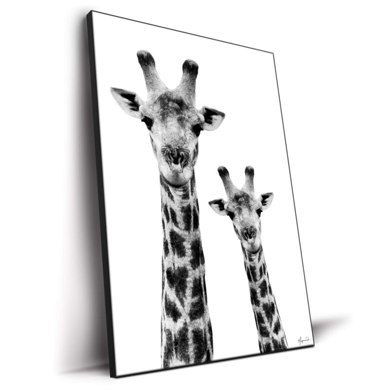 Giraffe and Baby White Edition Black and White Wall Decor by Philippe HUGONNARD