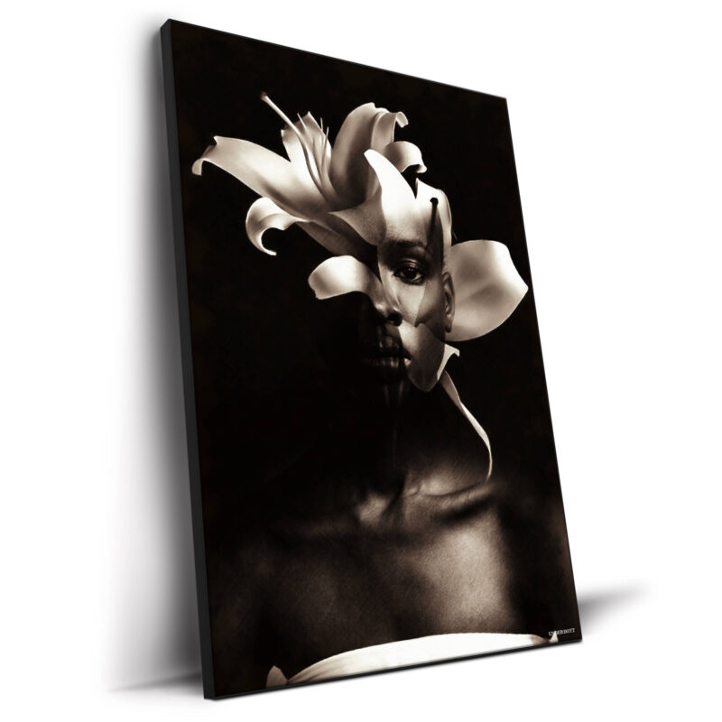 Intersectionality Black and White Wall Decor by Underdott