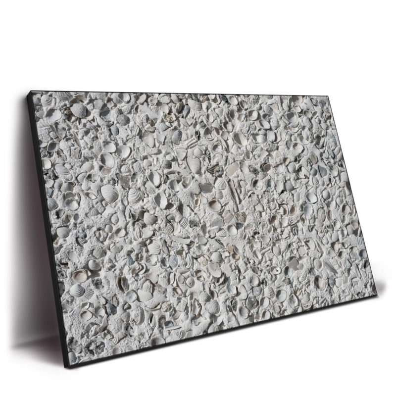 Out Of My Shell Neutral Wall Decor by Nick Ford