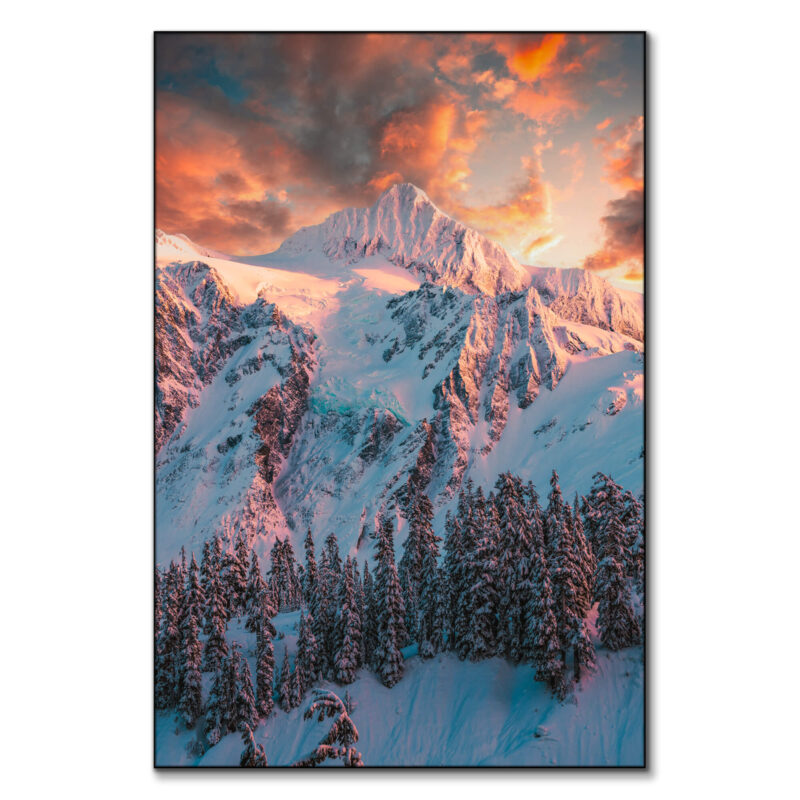 Elemental Vibrant Wall Art by Zach Doehler