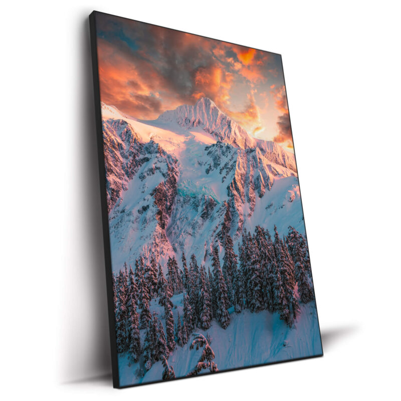 Elemental Vibrant Wall Decor by Zach Doehler