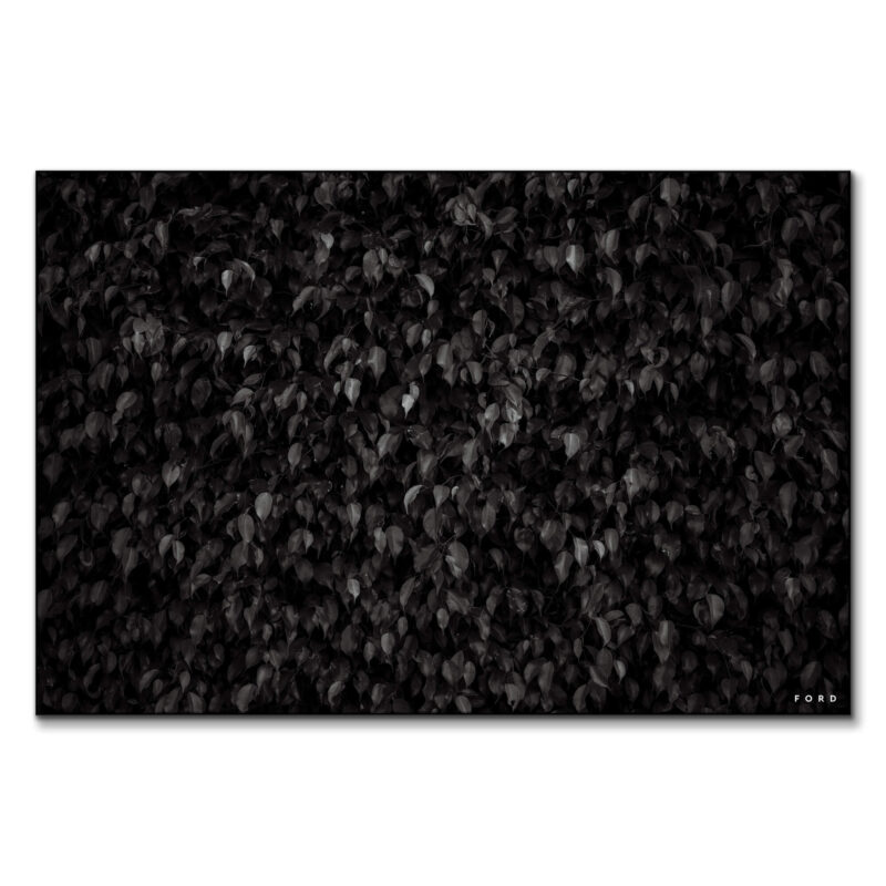 Flow Noir Dark Wall Art by Nick Ford