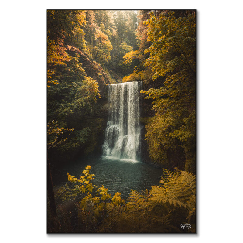 Soft Mornings Warm Wall Art by Paige Tingey