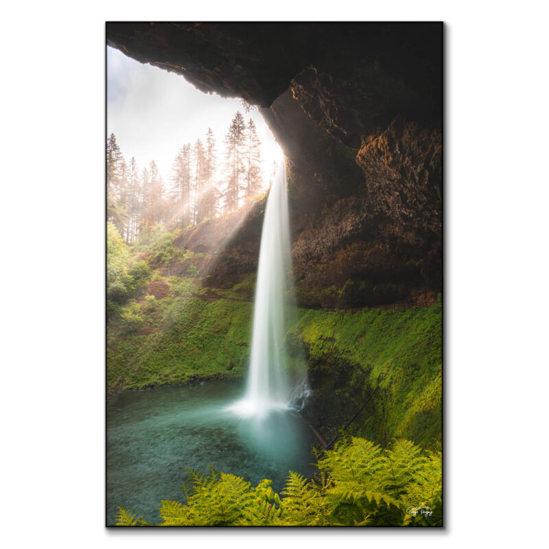 Falling Elegance Vibrant Wall Art by Paige Tingey