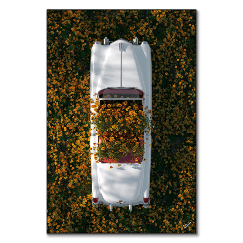 Cadillac in Flowers Warm Wall Art by Konji