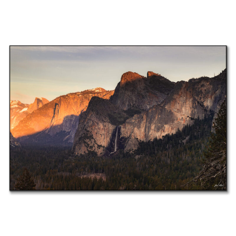 Golden Heaven Warm Wall Art by Devon Loerop