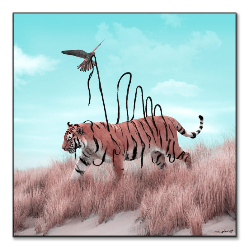 Dexterity Cool Wall Art by Julien Tabet