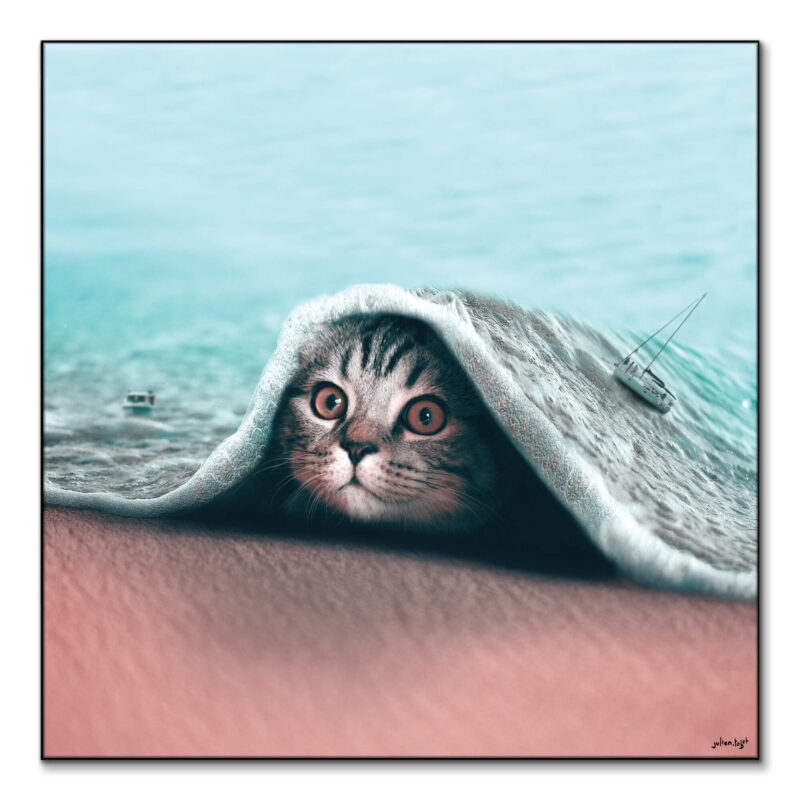 Hidden Cool Wall Art by Julien Tabet