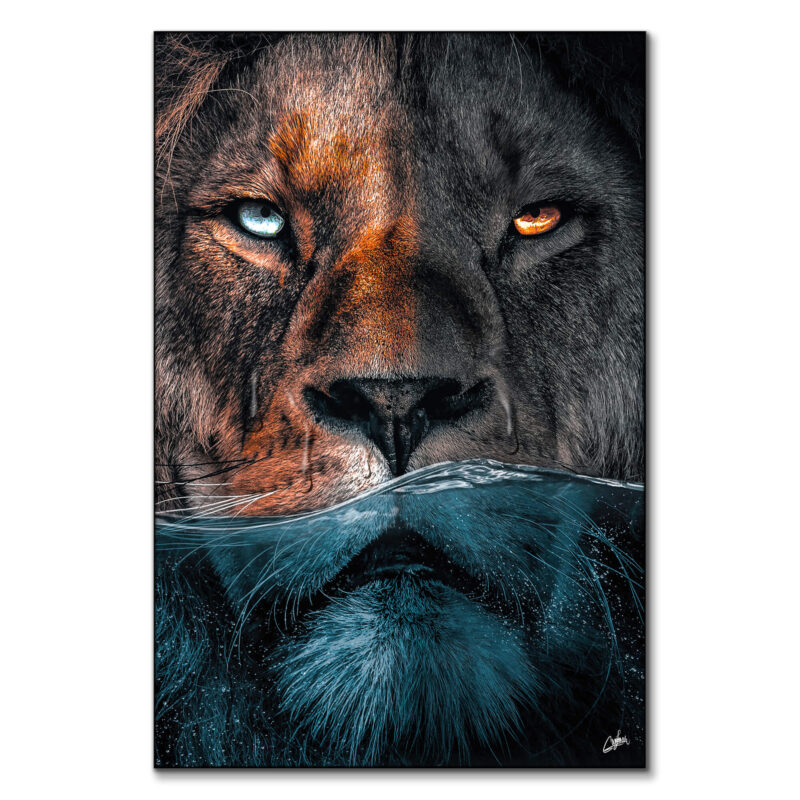 Underwater Lion Dark Wall Art by Zenja Gammer
