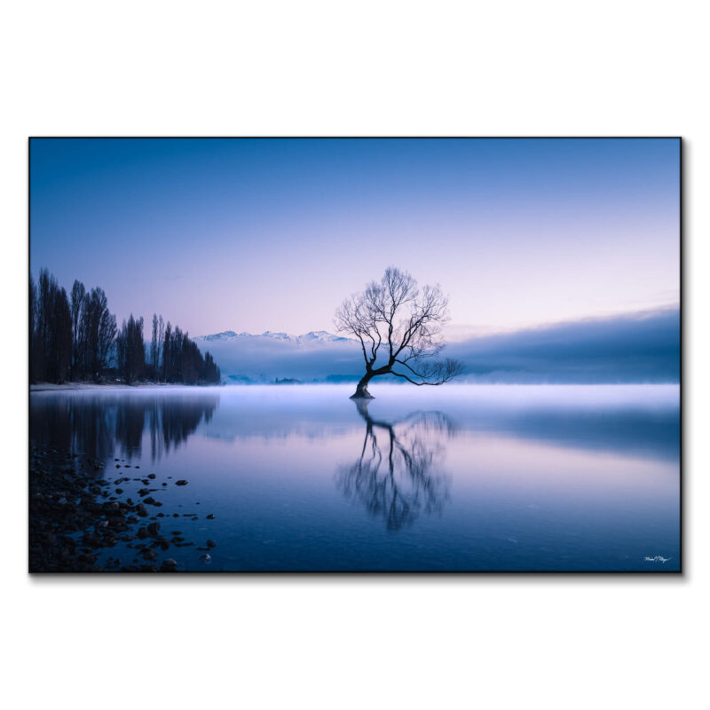 Wanaka Tree Vibrant Wall Art by Michael Meyers