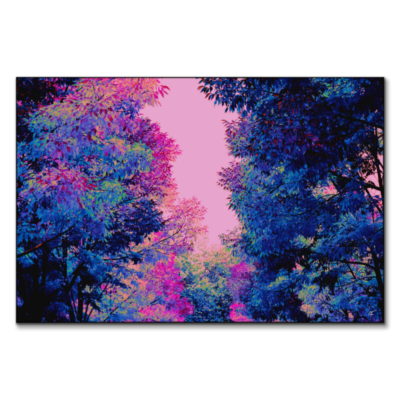 Tropical Dreaming Vibrant Wall Art by Arytron