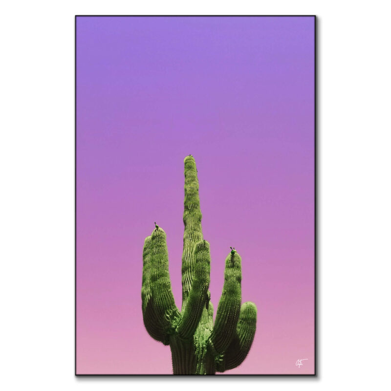 Cactus Vibrant Wall Art by Arytron