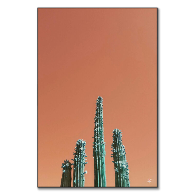 Growth Orange Wall Art by Arytron