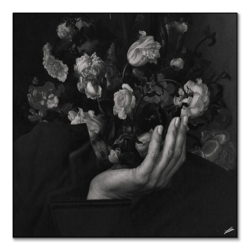 In Bloom II Black and White Wall Art by Fran Rodríguez