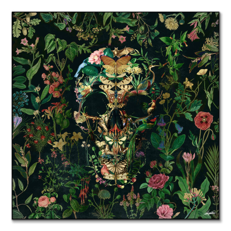 Papilion Skull Dark Wall Art by Ali Gulec
