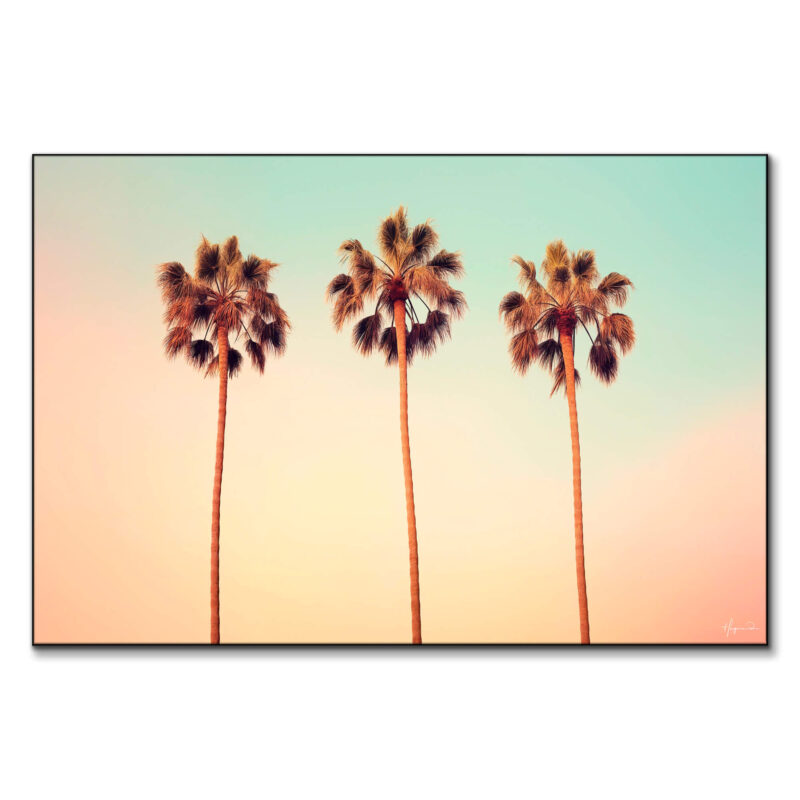 Iconic Palms Pastel Wall Art by Philippe HUGONNARD