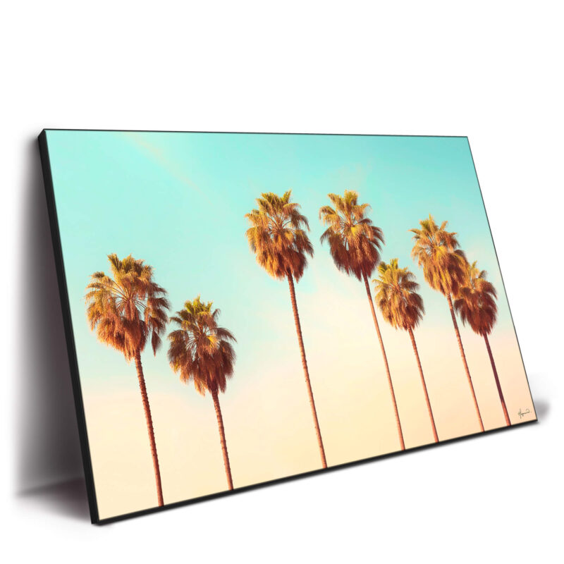 Hollywood Palms Pastel Wall Decor by Philippe HUGONNARD
