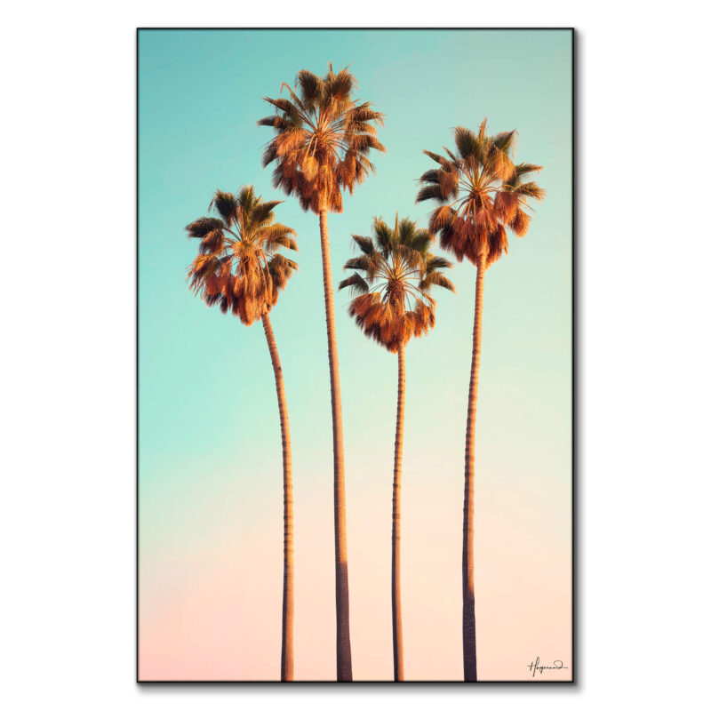 Dreamy Hollywood Palm Trees Pastel Wall Art by Philippe HUGONNARD