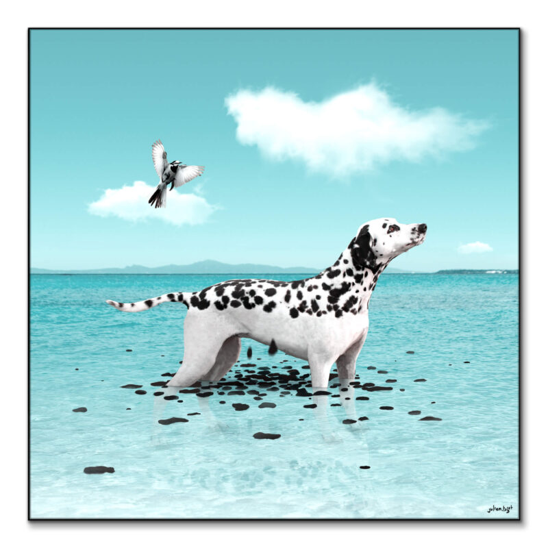 Ephemeral Cool Wall Art by Julien Tabet