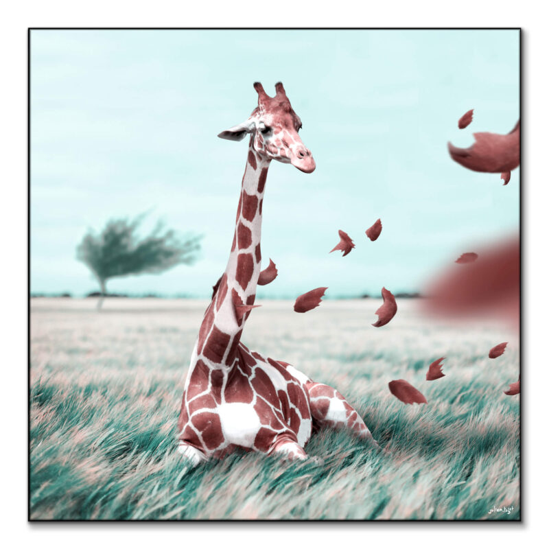 Windy Cool Wall Art by Julien Tabet