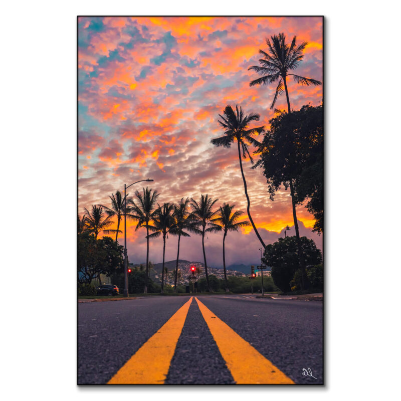 Palm Skies Warm Wall Art by Deston Isas