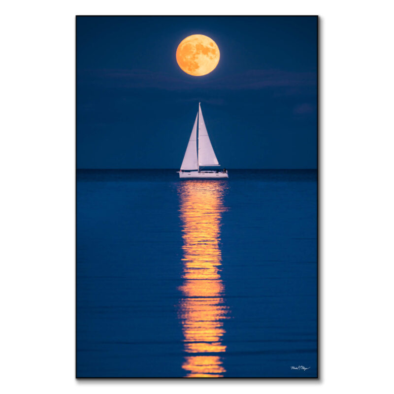 Navy Pier Reflections Wall Art by Michael Meyers