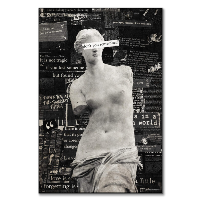 Venus Black and White Wall Art by Underdott