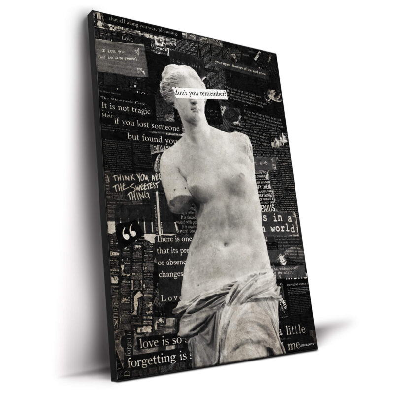 Venus Black and White Wall Decor by Underdott