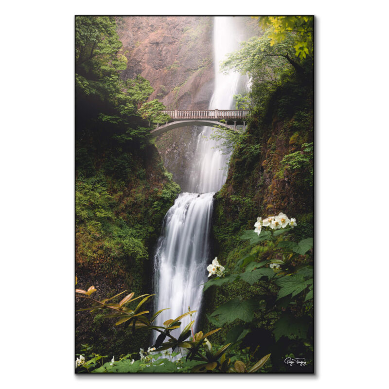 Fairytale Vibrant Wall Art by Paige Tingey