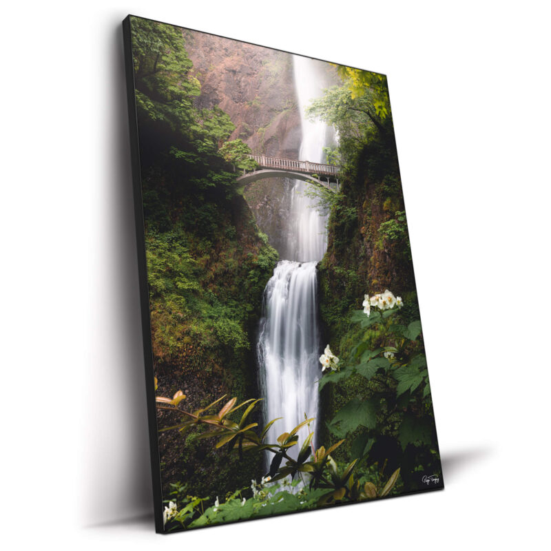 Fairytale Vibrant Wall Decor by Paige Tingey