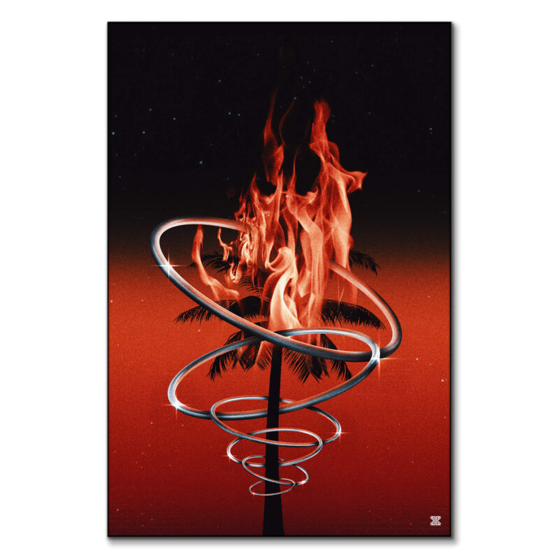 Fire Palm Tree Dark Wall Art by Jay X Clay