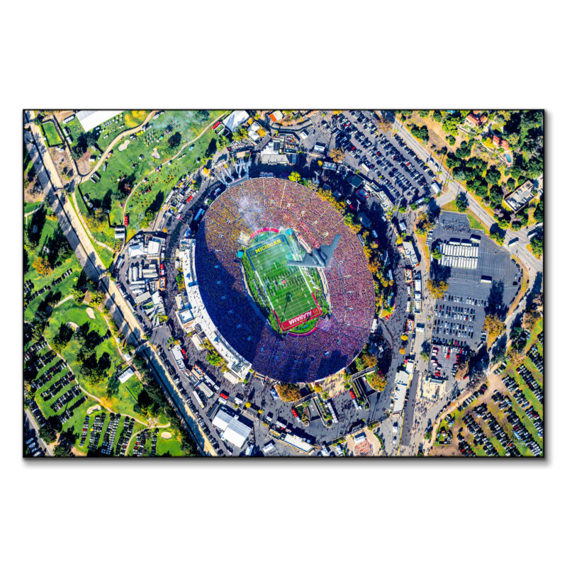 For All The Roses Wall Art by Michigan Sky Media