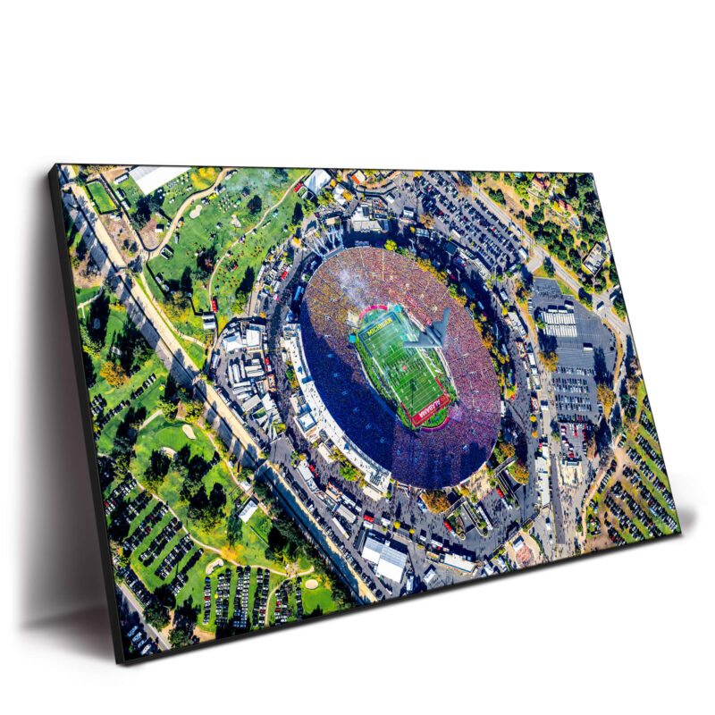 For All The Roses Wall Decor by Michigan Sky Media