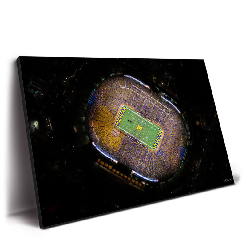 The Money Shot Dark Wall Decor by Michigan Sky Media