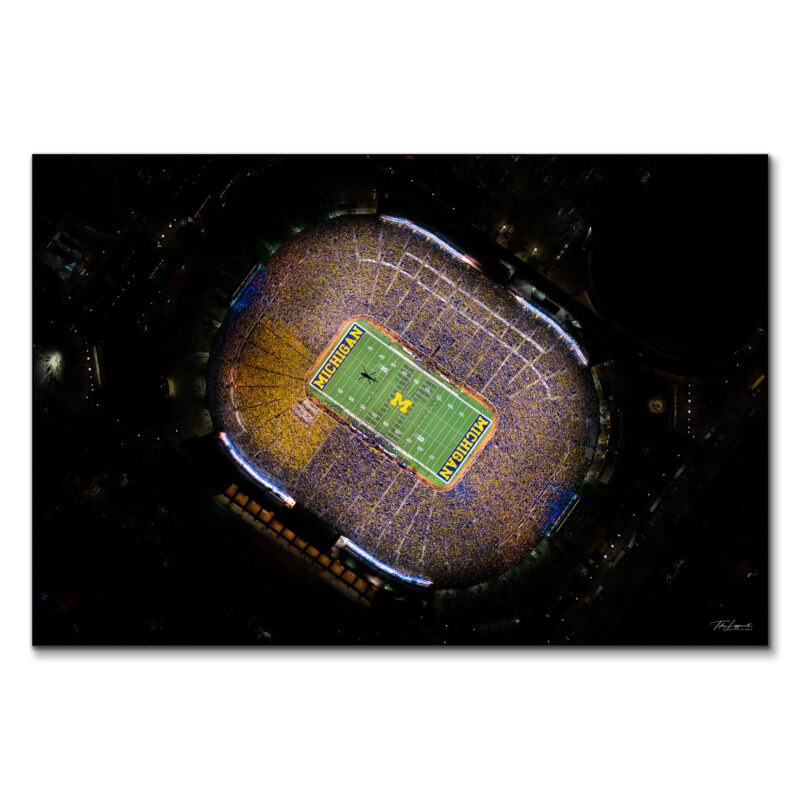 The Money Shot Dark Wall Art by Michigan Sky Media