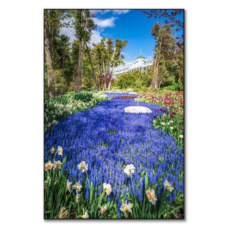 The Secret Garden Purple Wall Art by Michigan Sky Media