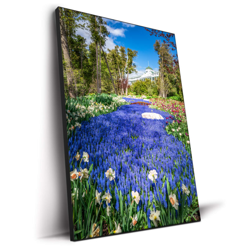 The Secret Garden Purple Wall Decor by Michigan Sky Media