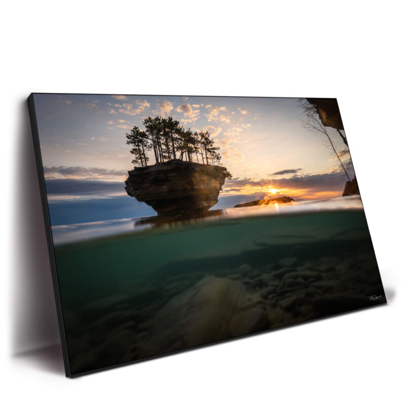 Fifty Fifty Wall Decor by Michigan Sky Media