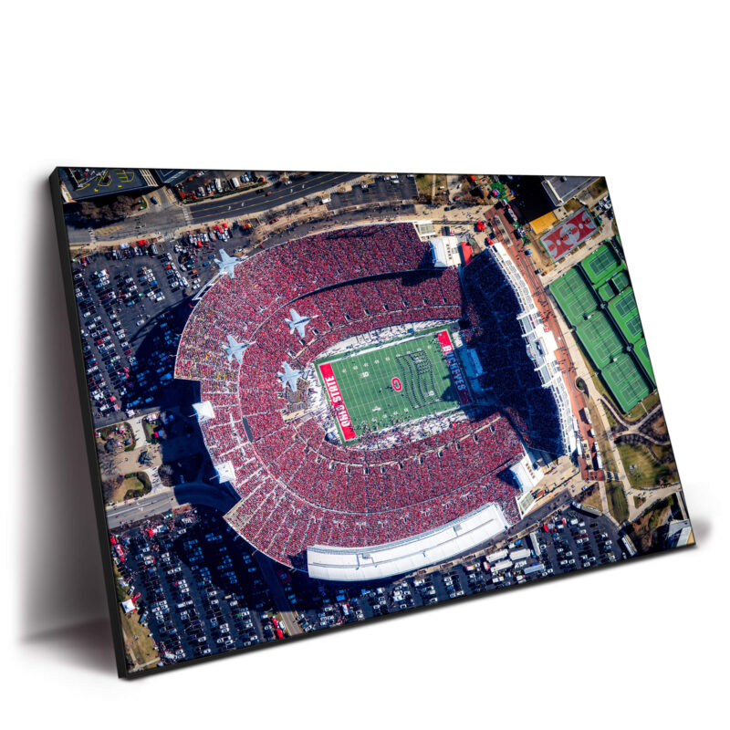 The Game of 2022 Wall Decor by Michigan Sky Media