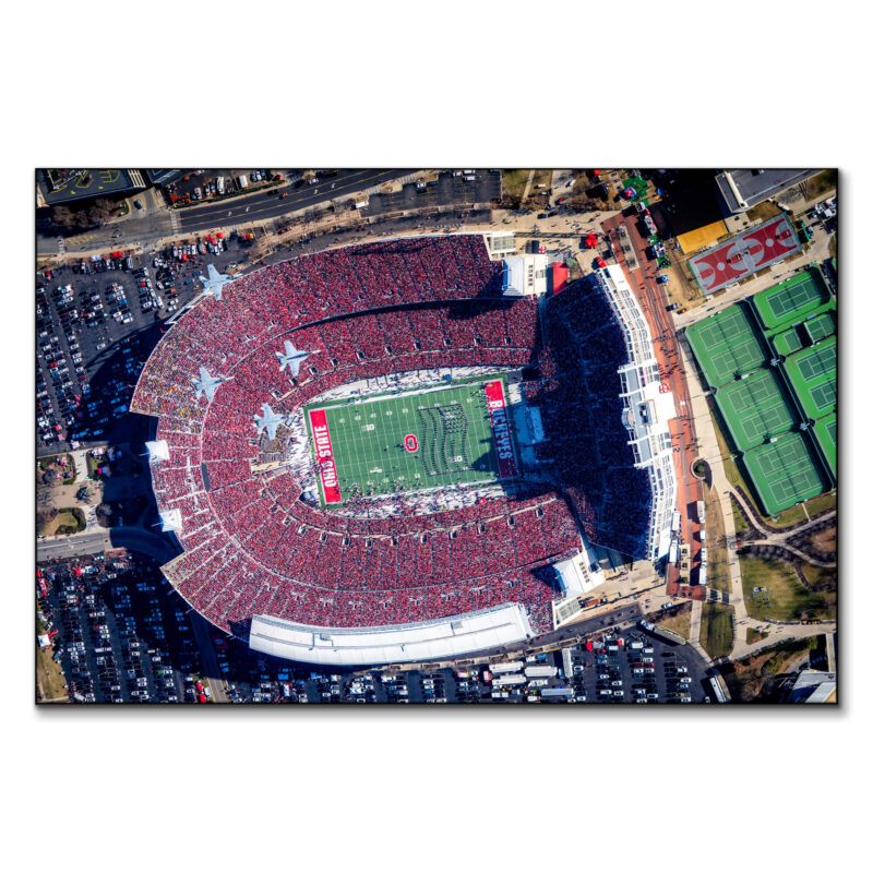 The Game of 2022 Wall Art by Michigan Sky Media