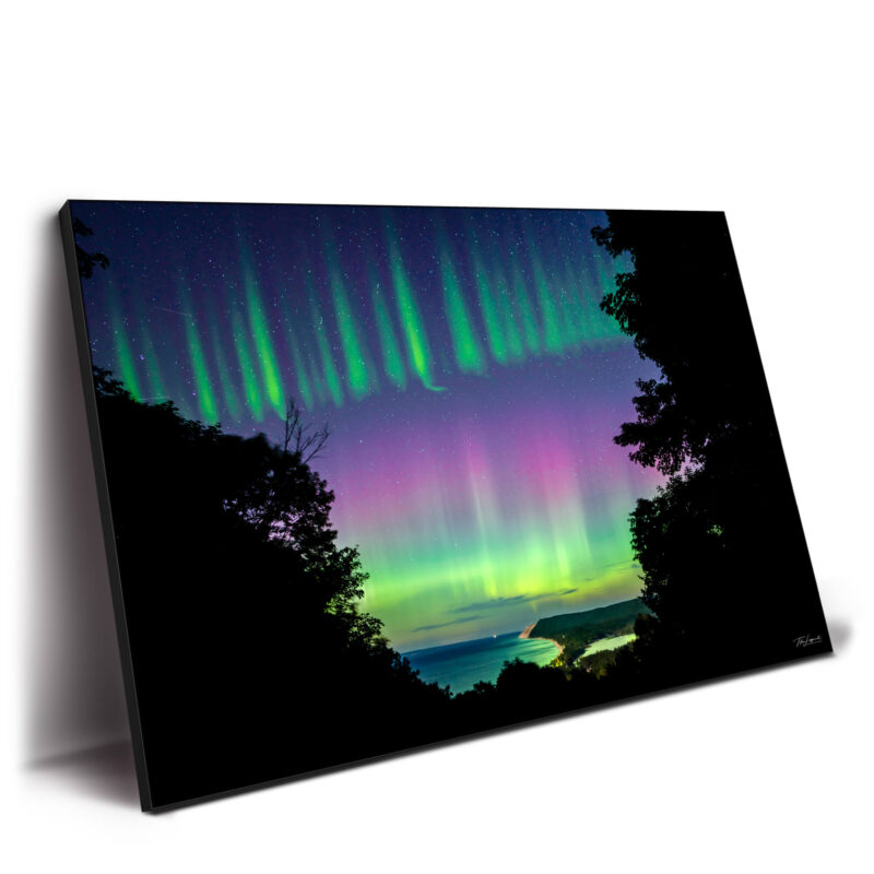 Awakening Bear Vibrant Wall Decor by Michigan Sky Media