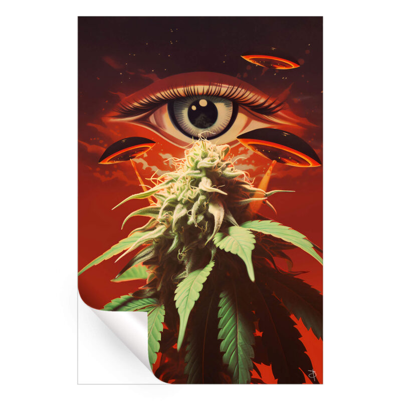 Inspection Red Wall Art by BambashkART