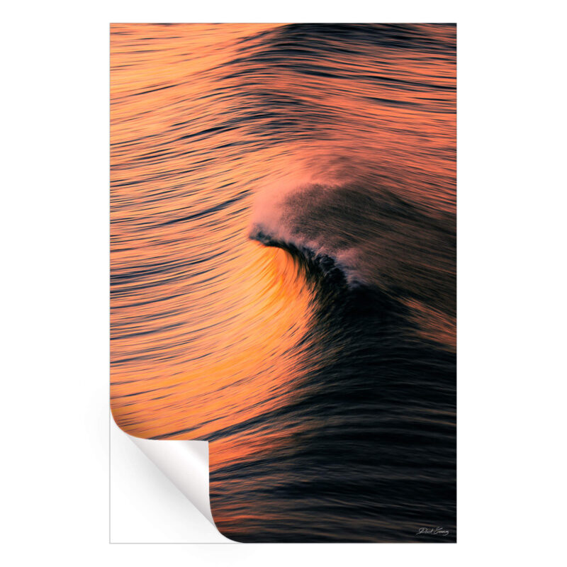 Sunrise Curl Vibrant Wall Art by Derek Gomez