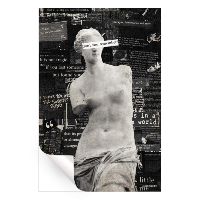 Venus Black and White Wall Art by Underdott