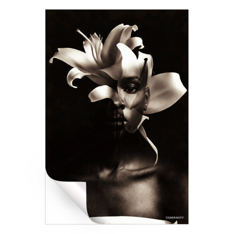 Intersectionality Black and White Wall Art by Underdott