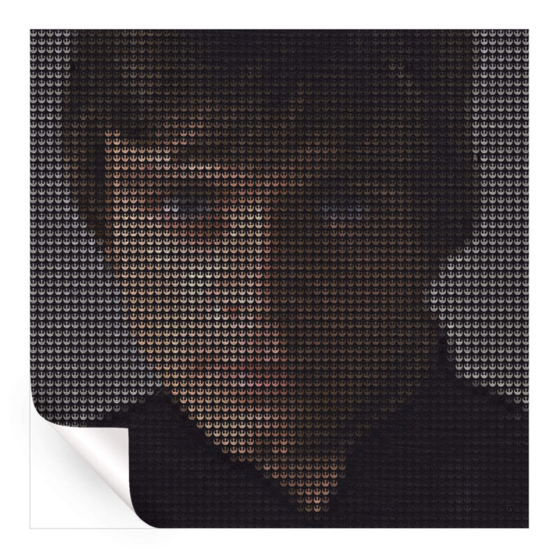 Luke Skywalker Dark Wall Art by GriddyPop