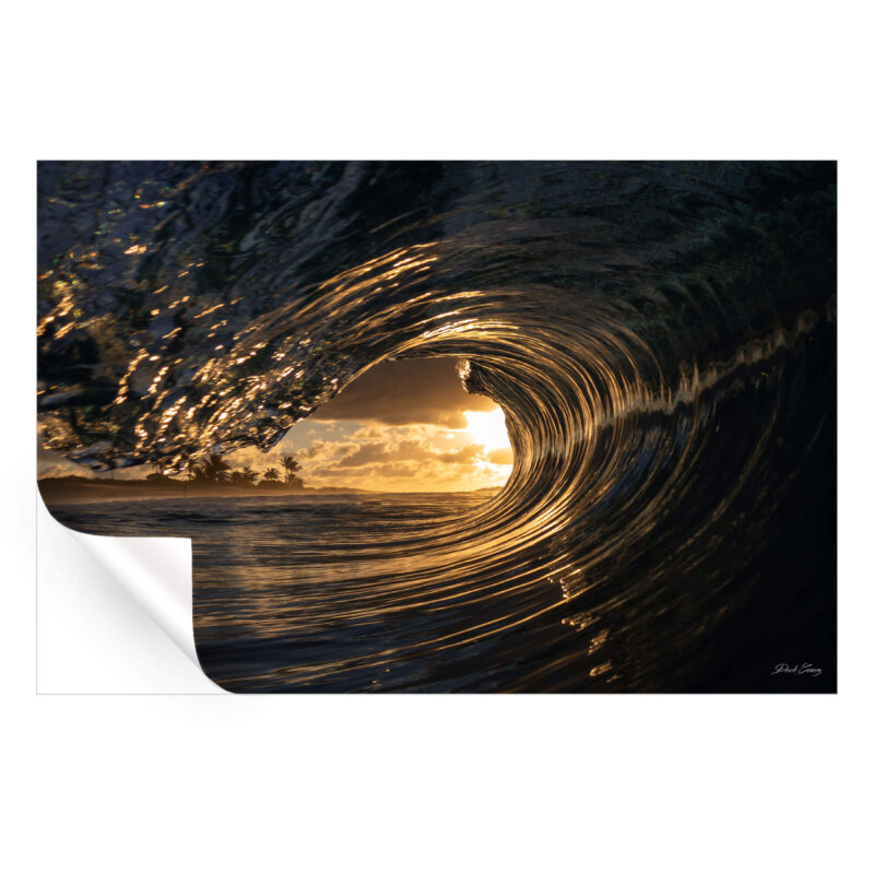 Early Riser Warm Wall Art by Derek Gomez